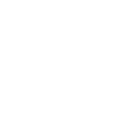 ce logo Apple Valley